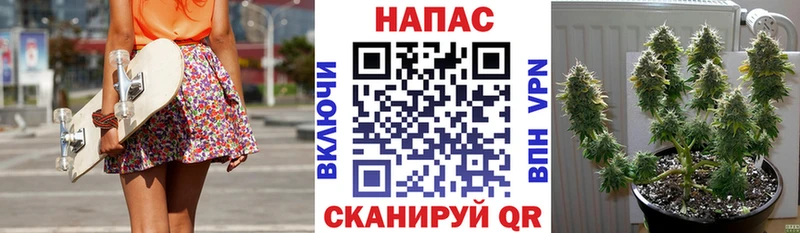 Шишки марихуана семена  Гаврилов Посад 